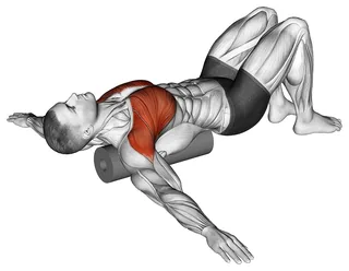 Roll Chest Opener Lying on Floor — animated demonstration of the full movement