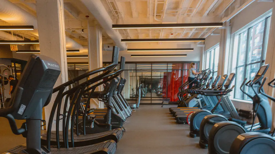 Aisle of treadmills and elliptical trainers lit by daylight from tall windows