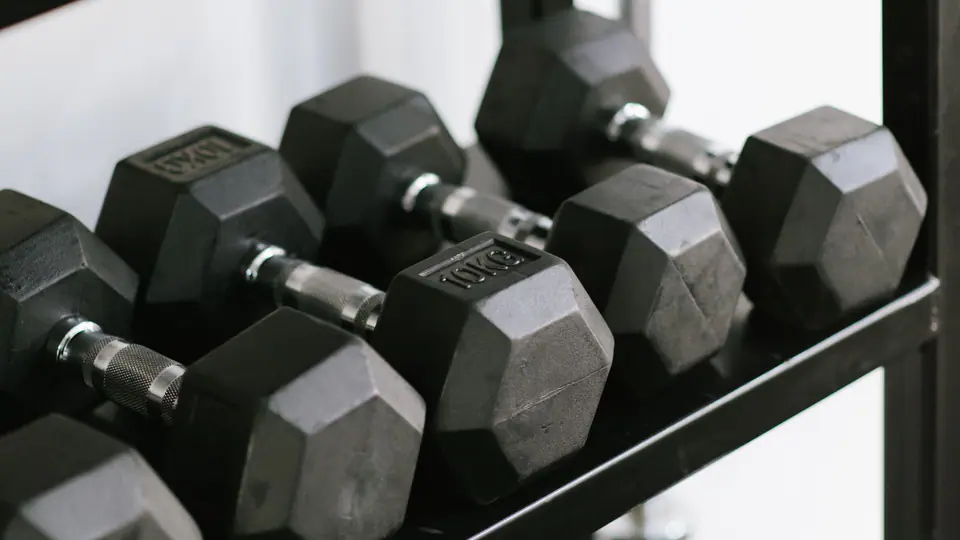 Dumbbells racked neatly on a shelf with a weight plate stored below