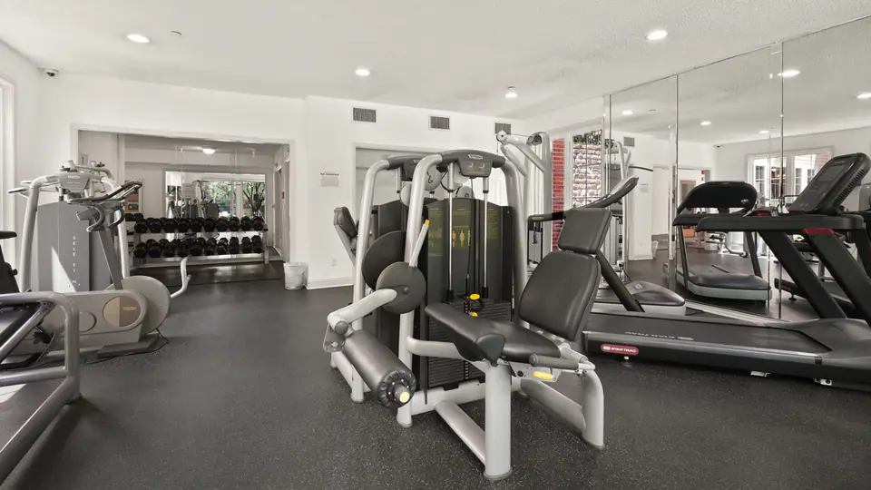 Bright gym with a leg extension machine, cable station, treadmills and a dumbbell rack