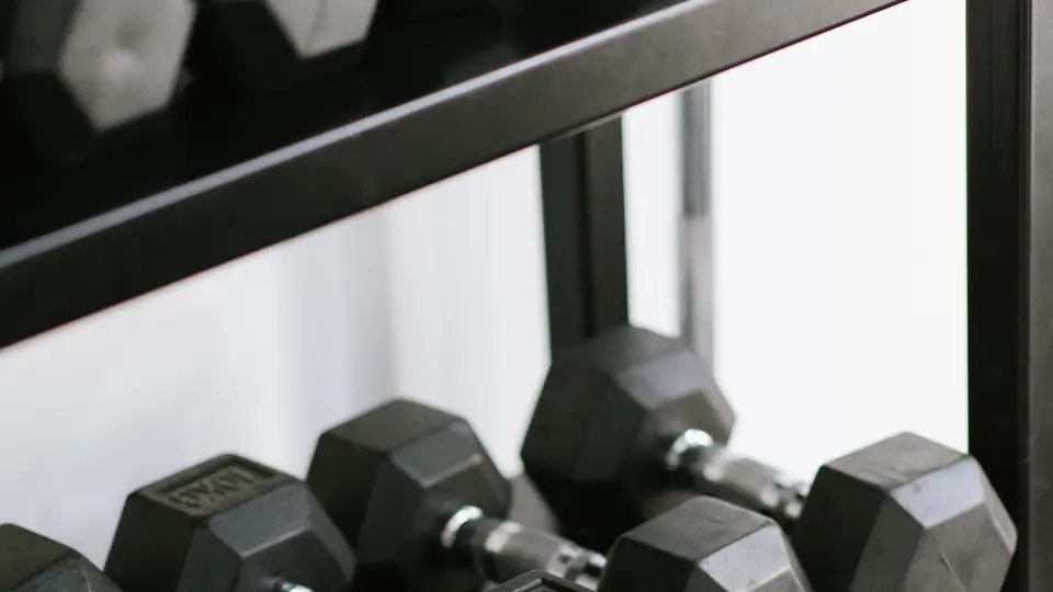Dumbbells racked neatly on a shelf with a weight plate stored below