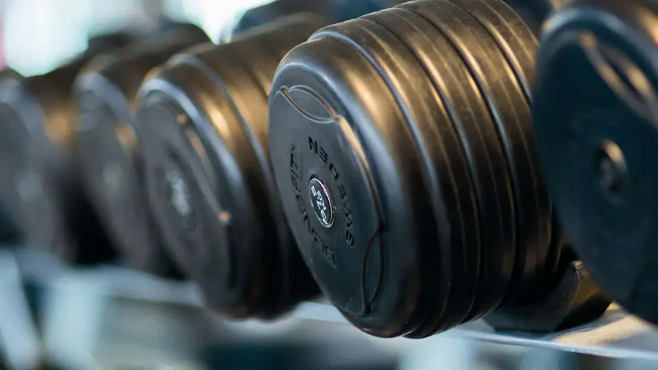 Perte de gras riche en protéines : perdre du gras et garder le muscle