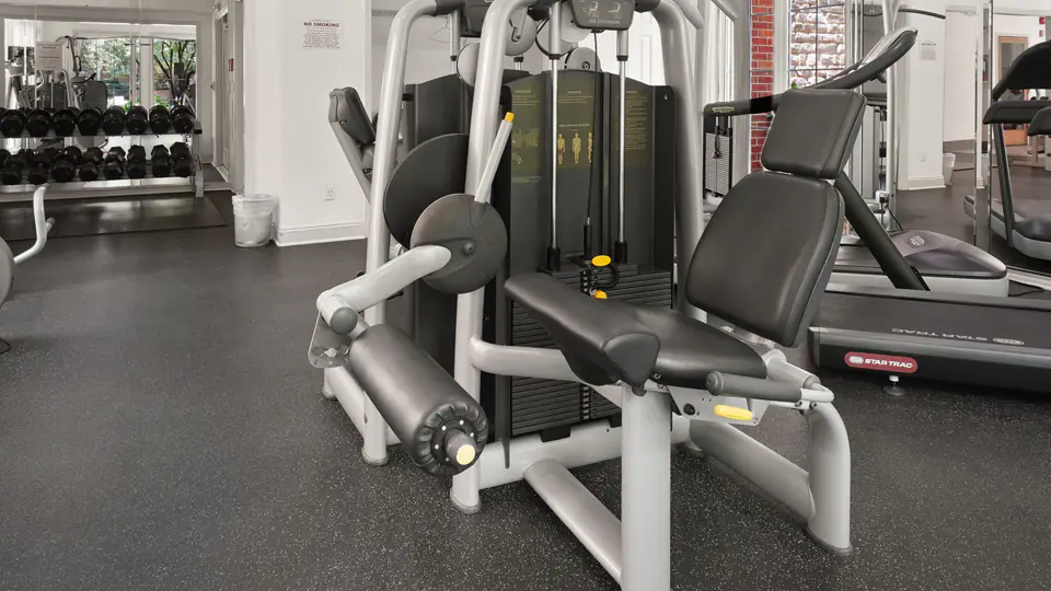 Bright gym with a leg extension machine, cable station, treadmills and a dumbbell rack