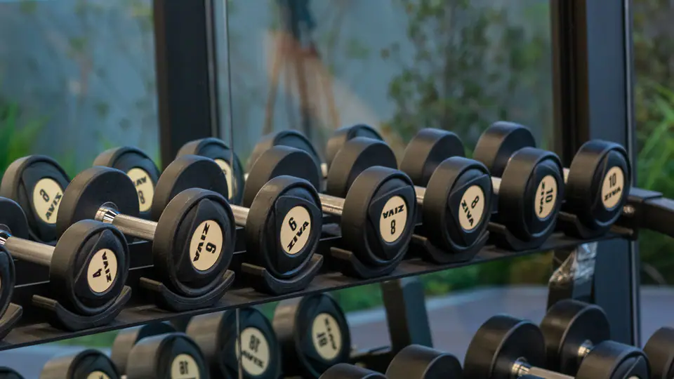 Rack of rubber dumbbells beside a floor-to-ceiling gym window