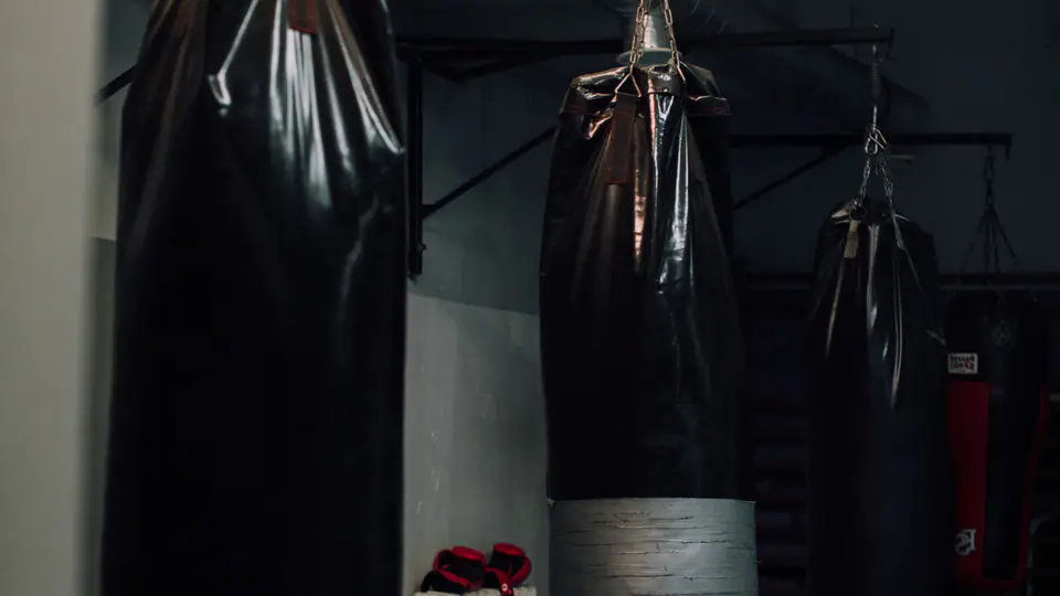 Row of heavy bags hanging in a boxing gym