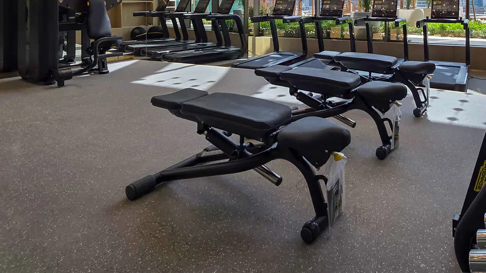 Hotel-style gym with adjustable benches, a dumbbell rack and a city skyline view