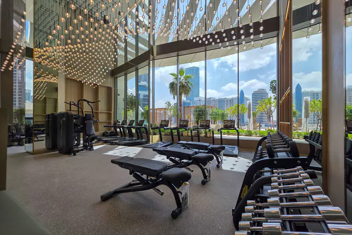 Hotel-style gym with adjustable benches, a dumbbell rack and a city skyline view