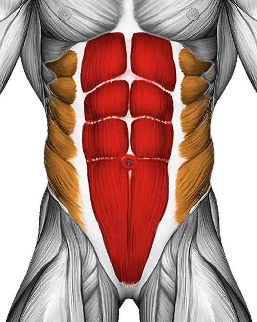 Reverse Crunch — Muscles worked: Core, Obliques