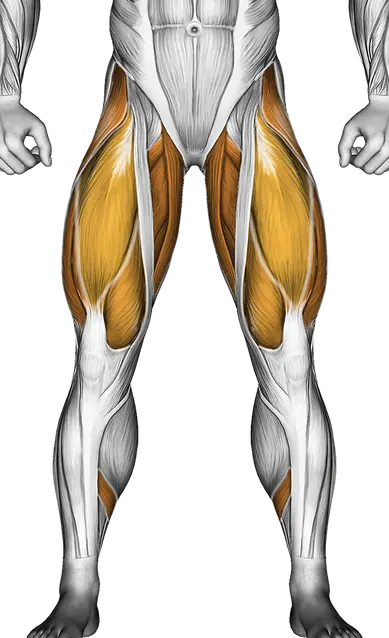 Barbell Sumo Deadlift — Muscles worked: Glutes, Abductors, Quadriceps, Adductors, Hamstrings, Calves (Front)