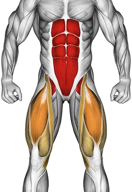 Alternate Leg Raise — Muscles worked: Core, Quadriceps