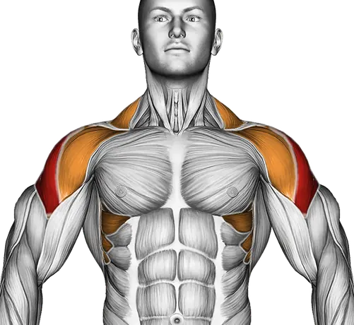 Dumbbell Incline One Arm Lateral Raise — Muscles worked: Side delts, Serratus, Front delts, Traps (Front)