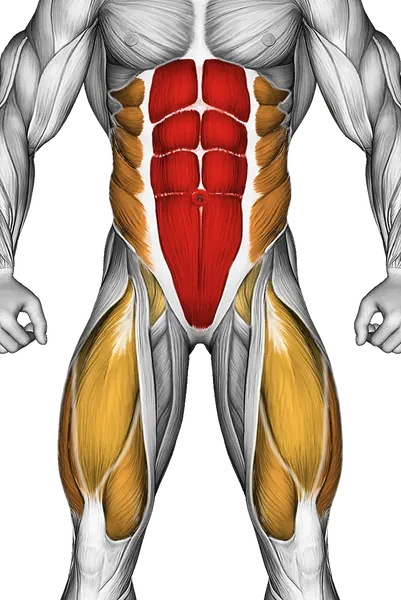 Decline Bent Leg Reverse Crunch — Muscles worked: Core, Obliques, Quadriceps (Front)