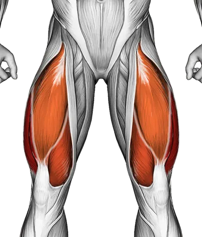 Balance Board — Muscles worked: Quadriceps, Glutes, Hamstrings (Front)