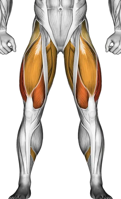 How to Build Bigger Glutes — Muscles worked: Glutes, Quadriceps, Hamstrings, Adductors, Calves, Abductors (Front)