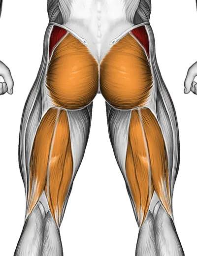 Bent Leg Side Kick (Kneeling) — Muscles worked: Abductors, Glutes, Hamstrings (Back)