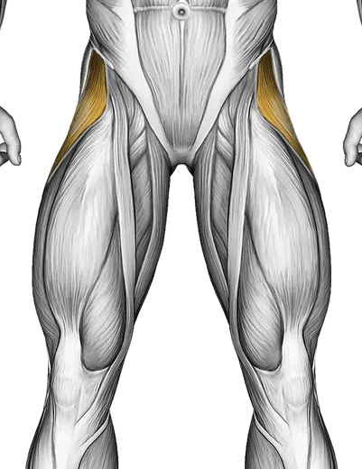 Bent Leg Side Kick (Kneeling) — Muscles worked: Abductors, Glutes, Hamstrings (Front)