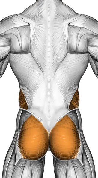 Spider Plank — Muscles worked: Core, Front delts, Obliques, Glutes (Back)