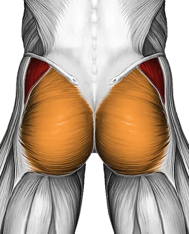 Resistance Band Lying Abduction — Muscles worked: Abductors, Glutes (Back)