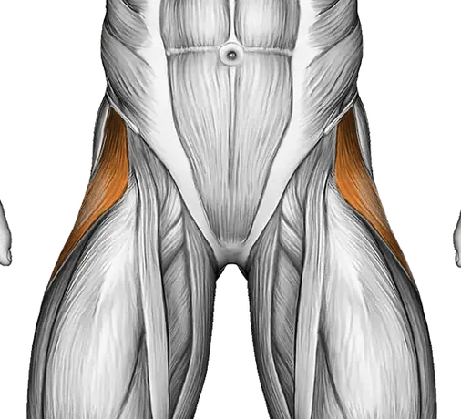 Resistance Band Lying Abduction — Muscles worked: Abductors, Glutes (Front)
