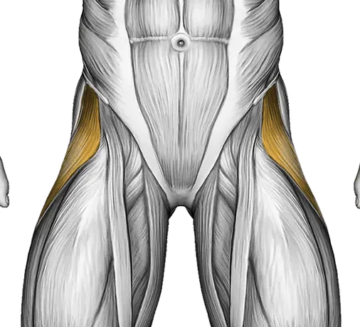 Resistance Band Seated Hip Abduction — Muscles worked: Abductors, Glutes (Front)