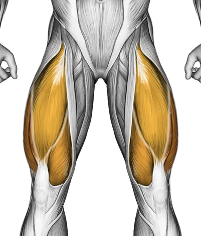 Barbell Hip Thrust — Muscles worked: Glutes, Quadriceps, Hamstrings (Front)