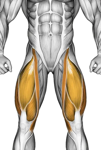 Bent Knee Back to Side Kick — Muscles worked: Glutes, Lower back, Abductors, Quadriceps, Hamstrings (Front)
