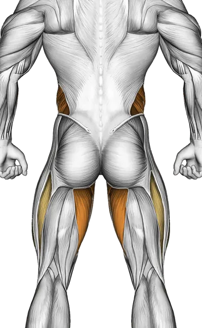 V Up — Muscles worked: Core, Obliques, Quadriceps, Adductors (Back)