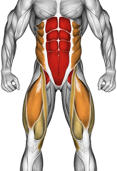 Dumbbell V Up — Muscles worked: Core, Obliques, Quadriceps