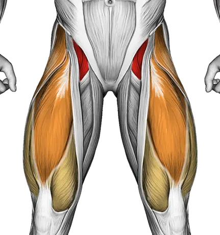 Decline Sit-Up — Muscles worked: Core, Abductors, Quadriceps (Front)