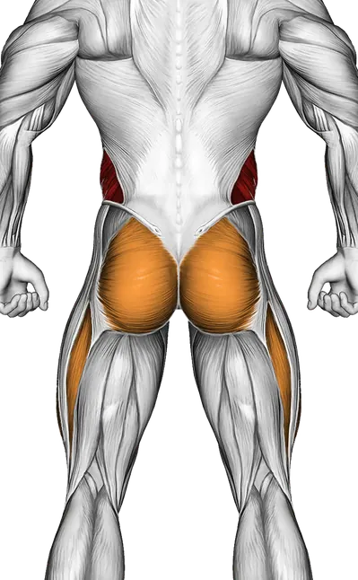 45 Degree Bicycle Twisting Crunch — Muscles worked: Obliques, Core, Glutes, Quadriceps (Back)