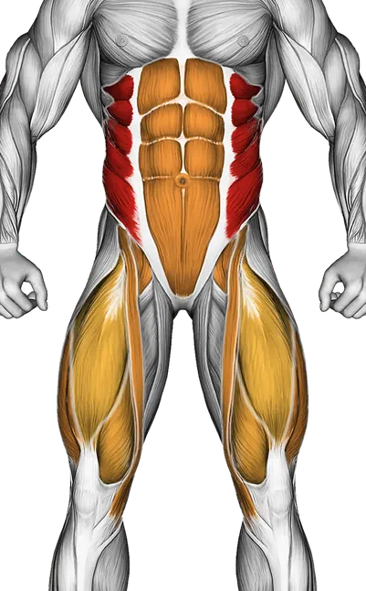 45 Degree Bicycle Twisting Crunch — Muscles worked: Obliques, Core, Glutes, Quadriceps (Front)